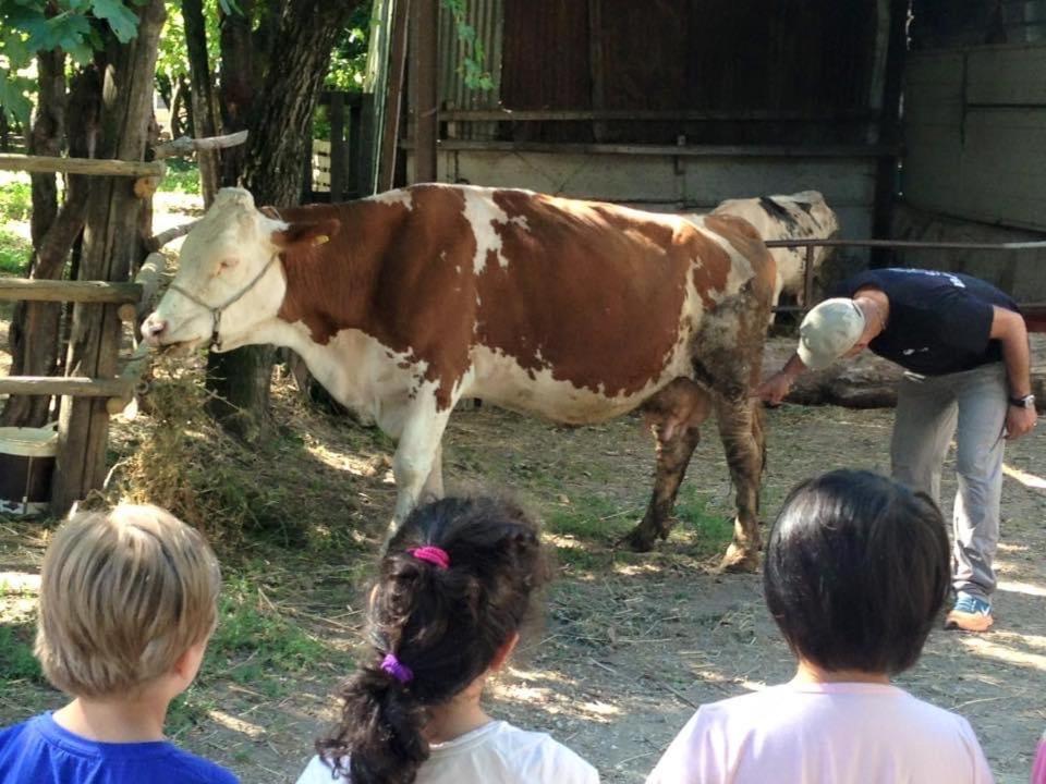 Agriturismo Da Baffone Santo Stefano del Sole Kültér fotó